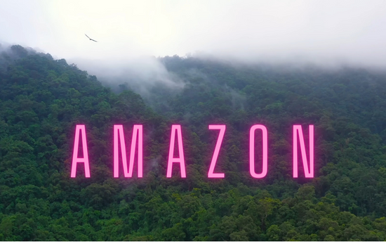 अमेज़न का जंगल